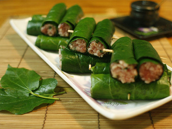 Bạn có biết Lá lốt là một thần dược tuyệt vời không?