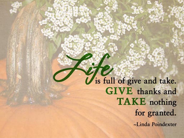 Những gì ta Cho đi chính là những gì ta nhận lại