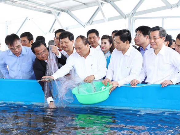 Bạc Liêu targets becoming shrimp hub