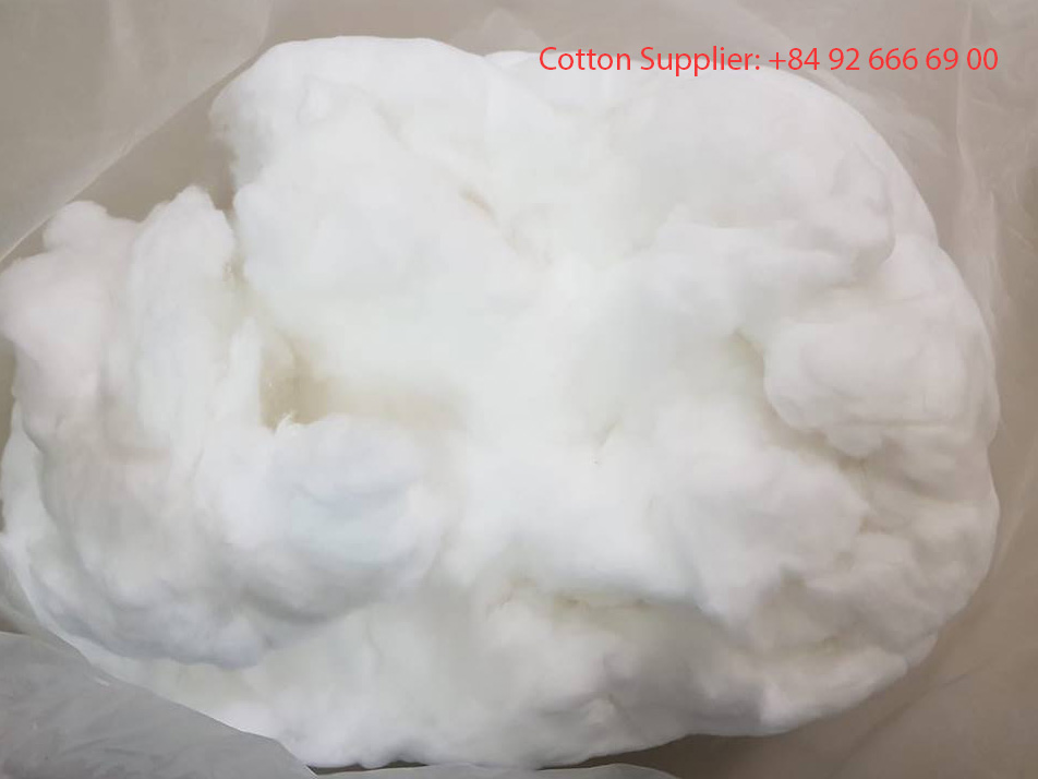 CUNG CẤP BÔNG Y TẾ CHẤT LƯỢNG CAO